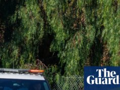 Duas meninas, de 9 e 11 anos, receberam US$ 31,5 milhões após a morte da irmã por tortura na Califórnia