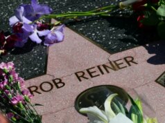 Quiz de notícias de quinta-feira: contratempos de IA, fúria dos fãs e um pequeno bebê hipopótamo