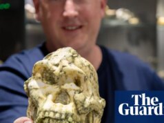 Fóssil de hominídeo Little Foot pode ser nova espécie de ancestral humano