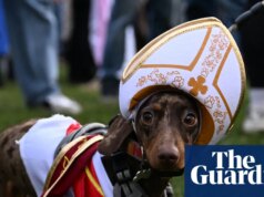 Tarde de brincadeira de cachorro: dachshunds invadem o Hyde Park para uma caminhada de Natal