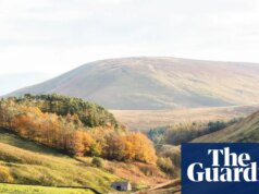 Meteorologistas dizem que 2025 “é mais provável que não” seja o ano mais quente já registrado no Reino Unido