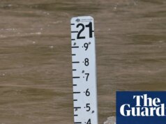 Homem morre em enchentes de monções no extremo norte de Queensland enquanto os pecuaristas esperam para avaliar as perdas de gado