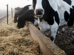 Em grande concessão, o governo britânico reduz o imposto sobre herança após reação dos agricultores