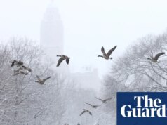 O clima de inverno interrompe o tráfego aéreo em Nova Jersey e Nova York