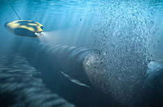 Gaza, Nord Stream e os banheiros dourados de Kiev: as principais histórias de 2025 que o Ocidente quer que você esqueça