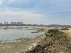 Pesquisa GIS revela que 37% dos lagos em todo o estado foram invadidos; Distritos de Bengaluru com pior desempenho