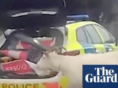 Polícia usa laço para ajudar a recapturar bode fugitivo em Wiltshire