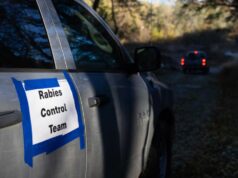 Homem dos EUA morre após rim infectado com raiva ser atribuído a arranhão de gambá de doador de órgãos
