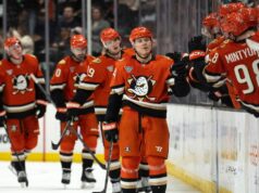 Patos dão ‘Nutquackers’ aos fãs antes das férias de Natal