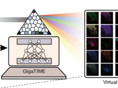Microsoft, Providence e UW criam IA que revela insights sobre tumores em uma escala anteriormente fora de alcance