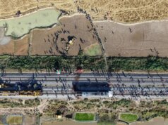 Sete elefantes mortos na Índia após trem de passageiros colidir com rebanho