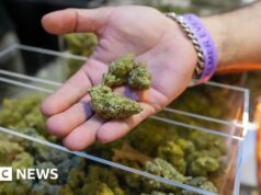 Trump amplia o acesso à hashish em uma grande mudança na política de drogas