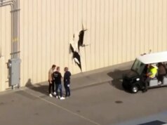 Avião roubado bate em prédio no aeroporto de Los Angeles; suspeito é preso