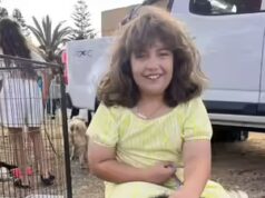 De uma menina de 10 anos a uma sobrevivente do Holocausto: quem foram as vítimas do ataque em Bondi Seashore