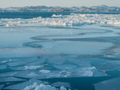 As temperaturas do Ártico aumentam duas vezes mais rápido que em outros lugares, diz o relatório da NOAA