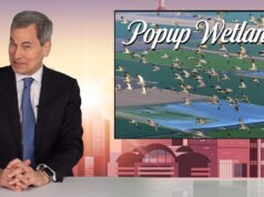 Boas notícias que você pode ter perdido em 2025