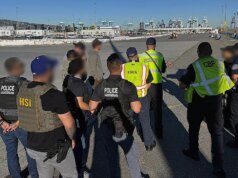 ICE prende mais de 100 caminhoneiros estrangeiros ilegais em grande varredura após acidentes mortais em vários estados