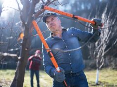 Ferramentas indispensáveis para o quintal de inverno: motosserras, sopradores de neve e gelo derretido para animais de estimação