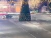 Passeio noturno termina em desastre quando o motorista bate na imponente árvore de Natal diante das câmeras