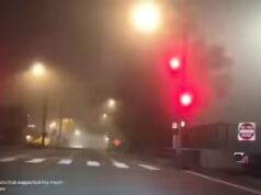 O acidente de Mike Liaory se torna viral depois que Kick stream mostra sinal vermelho no trânsito de Los Angeles