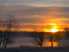 Natureza: Nascer do sol no Texas