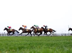 Cavalos Ascot a seguir: sexta-feira