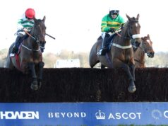 Iroko prova credenciais nacionais novamente com triunfo do Ascot