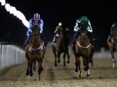 Younger Infinite tenta voltar às vitórias em Newcastle