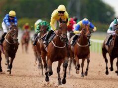 Hoje na Sky Sports activities Racing: Southwell hospeda card de nove corridas para todos os climas
