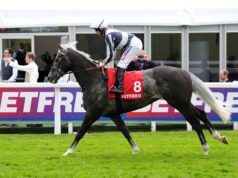 Mar Tirreno busca segunda vitória no Quebec Stakes em Lingfield