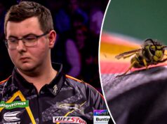 A vespa Ally Pally retorna em momento essential do confronto de Bialecki com Bunting