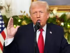 Repressão à imigração nos EUA: Trump suspende loteria de inexperienced card; o que levou à etapa?