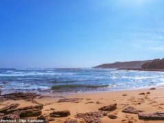 O horror na água continua com outro afogamento