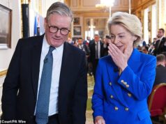 O aliado de Starmer diz que o Reino Unido pode chegar “muito perto” de voltar ao mercado único da UE em meio a alegações de que Bruxelas exigirá a proibição da edição genética de culturas, bem como pagamentos enormes