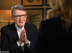 Lord Mandelson finalmente pede desculpas às crianças vítimas de Jeffrey Epstein por ‘acreditarem nele em vez delas’ – depois de alegar que o pedófilo escondeu dele a depravação ‘porque ele é homosexual’