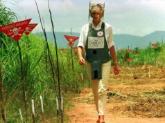 A Princesa Diana foi apelidada de “canhão solto” pela sua controversa viagem com minas terrestres a Angola – mas ela promulgou uma mudança política world marcante