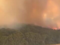 Casas de bombeiros voluntários entre 350 estruturas perdidas até agora em incêndios florestais “desoladores” em Victoria