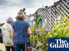 Público instado a cultivar plantas incomuns para salvaguardar a diversidade das flores do Reino Unido
