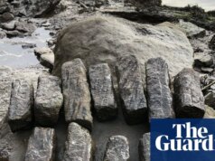Arqueólogos descobrem sinais de centro industrial romano em Sunderland