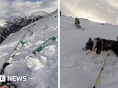 Assista: Momento esquiador e cachorro varridos por avalanche
