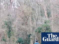 Previsão de neve e gelo para grandes partes do Reino Unido na onda de frio do ano novo