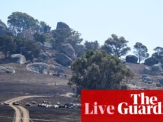 Notícias da Austrália ao vivo: incêndios florestais em Victoria devem durar semanas; Presidente do conselho do competition de Adelaide renuncia