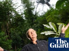 O mundo está em um lugar melhor do que quando o Projeto Éden foi criado há 25 anos, diz o fundador