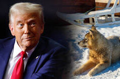 A Dinamarca está ocupando a Groenlândia – enviado de Trump