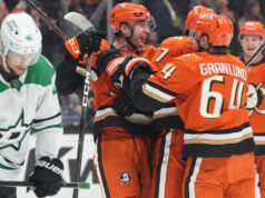 Lukas Dostal tem 24 defesas, Geese venceu Stars e derrapou em nove jogos