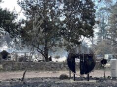 Restos humanos descobertos na zona de incêndio florestal de Victoria, perto de Longwood, enquanto as autoridades investigam