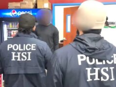 Especialista em política de saúde chama fraude em Minnesota de ‘nojenta’, alerta que questões do Obamacare são nacionais