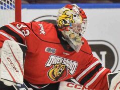 Greyhounds adquirem Carter George, goleiro do Workforce Canada, do Assault
