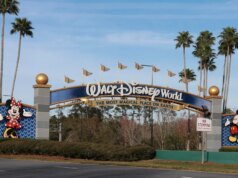 Membro do elenco da Disney se recuperando após uma pedra descontrolada no present de Indiana Jones