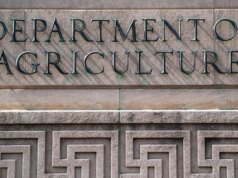 Mais de US$ 120 milhões em pagamentos de prêmios do USDA para Minnesota suspensos, diz a Casa Branca